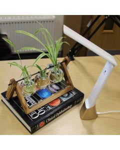 Smart Go Portable Rechargeable Lamp